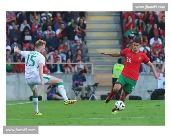 爱尔兰对阵奥地利比赛走势与战术数据深度分析前瞻关键球员表现与胜负预测